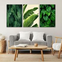 KIT 3 Quadros Plantas Quadros Decorativos Foto ou Imagem Decoração Quarto e Sala