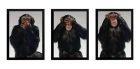 Kit 3 Quadros Três Macacos Sábios Mizaru Kikazaru Iwaza Kit 3 Quadros Três Macacos Sábios Mizaru Kikazaru Iwaza