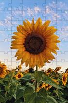 Kit 3 Quebra-Cabeças Girassóis De 60 Peças Kit 3 Quebra-Cabeças Girassóis De 60 Peças