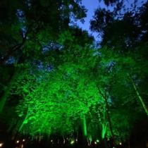 Kit 3 Refletores Taschibra Led Tr Slim 50w Verde Branco Bivolt