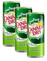 kit 3 REFRIGERANTE CANADA DRY GINGER ALE LATA 330ML