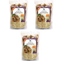 Kit 3 Risoto de Berinjela Tui Alimentos 235g - Vegano