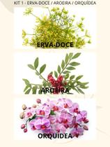 KIT 3 Sabonete Líquido Hidratante Facial Pele Sempre Limpa Maycrene KIT 3 Sabonete Líquido Hidratante Facial Pele Sempre Limpa Maycrene