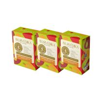 Kit 3 Sabonetes Barra 100% Vegetais Mystical Wood Ayurvédika Kit 3 Sabonetes Barra 100% Vegetais Mystical Wood Ayurvédika