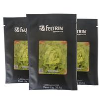 Kit 3 Sachês 1000 Sementes Cada Alface Lisa Alta Produtividade