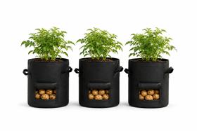 Kit 3 Sacos Plantio De Batata Legume Feltro Growbag Allgreen Kit 3 Sacos Plantio De Batata Legume Feltro Growbag Allgreen
