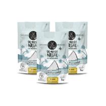 Kit 3 Sal Marinho BR Spices Integral Mossoró Fino Pouch 1KG