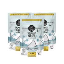 Kit 3 Sal Marinho Integral Fino 1kg Tempere Sua Comida
