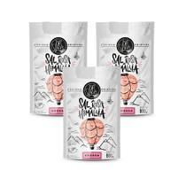 Kit 3 Sal Rosa Do Himalaia Grosso BR Spices Pouch 500G Kit 3 Sal Rosa Do Himalaia Grosso BR Spices Pouch 500G
