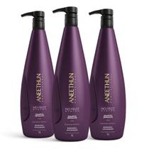 Kit 3 Shampoo 1L Aneethun Defrizante No Frizz System