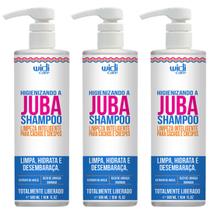 Kit 3 Shampoo Higienizando A Juba Widi Care Limpeza Inteligente Cachos E Crespos 500ml