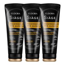 Kit 3 Shampoo Reconstrução Regeneração Pós Química Reparação Óleo de Coco 250ml Eudora Siàge Kit 3 Shampoo Reconstrução Regeneração Pós Química Reparação Óleo de Coco 250ml Eudora Siàge