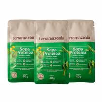 Kit 3 Sopa Proteica Ervilha 13G Proteina Vegetal Natural 40G