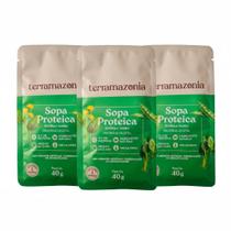 Kit 3 Sopa Proteica Ervilha 13g Proteina Vegetal Natural 40g