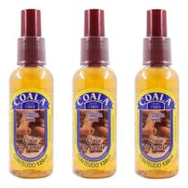 Kit 3 Spray Coala Aromatizante - Cravo & Canela 120ML
