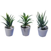 Kit 3 Suculentas Artificiais C/ Mini Vaso Plástico Decoração