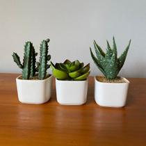 Kit 3 Suculentas Artificiais + Vasos Arranjos Vasinho Branco Kit 3 Suculentas Artificiais + Vasos Arranjos Vasinho Branco