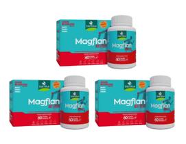 Kit 3 Suplemento Alimentar Magflan Artiflex 60 Cápsulas