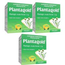 Kit 3 Suplemento Alimentar Plantagold Psyllium - Arte Nativa