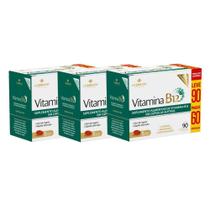 Kit 3 Suplemento Vitamina B12 Com 90 Cápsulas - La San-Day Kit 3 Suplemento Vitamina B12 Com 90 Cápsulas - La San-Day