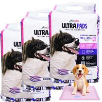 Kit 3 Tapete Higienico Lavanda Cachorro 60x80cm 90Un Premium Kit 3 Tapete Higienico Lavanda Cachorro 60x80cm 90Un Premium