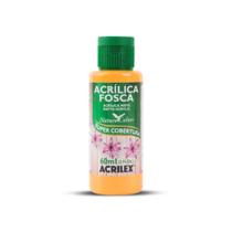 Kit 3 Tinta Acrilica Fosca 60ml Acrilex (mesma cor)