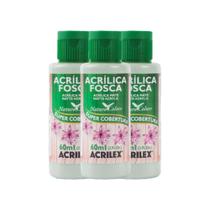 Kit 3 Tintas Acrílica Fosca 60ml Areia Lunar 879 Acrilex