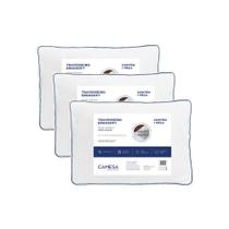Kit 3 Travesseiro Ergosoft Super Macio 50cm x 70cm Suporte Firme Camesa Kit 3 Travesseiro Ergosoft Super Macio 50cm x 70cm Suporte Firme Camesa