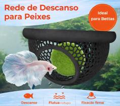Kit 3 Unidade Cama Peixe Betta Aquário l Casa Peixe Betta Flutuante A9 Kit 3 Unidade Cama Peixe Betta Aquário l Casa Peixe Betta Flutuante A9