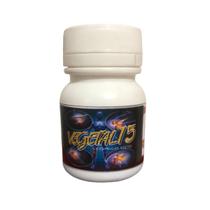 Kit 3 Unidades de Vegetal 15 500mg 15 Capsulas