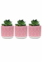Kit 3 Vasinho 8cm Rosa Vaso em Cimento Suculenta Cachepot