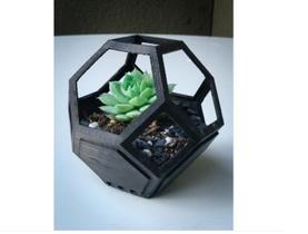 Kit 3 Vasinhos Suculenta Geométrico Muito Legal Kit 3 Vasinhos Suculenta Geométrico Muito Legal