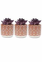 Kit 3 Vaso em Cimento Suculenta Cachepot Vasinho 8cm Laranja