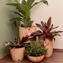 Kit 3 vasos bege para decoração de plantas-alto padrão