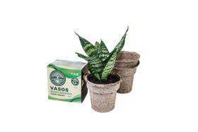Kit 3 Vasos Biodegradáveis Sustentáveis Tam G Nagmobio