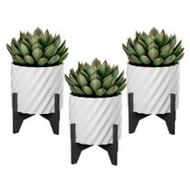 Kit 3 Vasos Cachepot Flor Suculenta Decorativo Elegante
