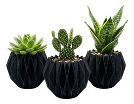 Kit 3 Vasos Cachepot Suculenta Erva Flor Decora Casa Origami