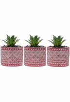 Kit 3 Vasos em Cimento Decorativo Pink com Suculenta Planta