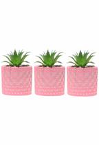 Kit 3 Vasos em Cimento Decorativo Rosa com Suculenta Planta