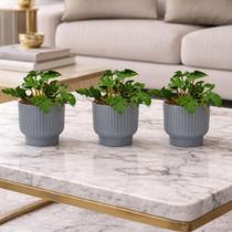 Kit 3 Vasos Mini Plantas Artificiais Costela De Adão para Decoração Casa Kit 3 Vasos Mini Plantas Artificiais Costela De Adão para Decoração Casa