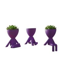 Kit 3 Vasos Robert Plant Decoração Criativa Moderna