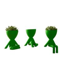 Kit 3 Vasos Robert Plant Decoração Criativa Moderna
