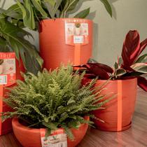 Kit 3 vasos terracota para decoração de plantas-alto padrão - FLORÍDIS