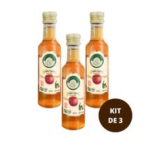 KIT 3 - Vinagre De Maça Orgânico 6% 250ml - São Francisco