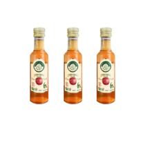 Kit 3 vinagre de maçã orgânico acidez 6% são francisco 250 ml