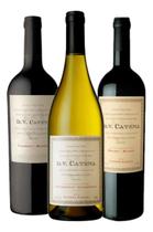 Kit 3 Vinho Argentino Seleção DV Chardonnay,cabernet E Malbec Kit 3 Vinho Argentino Seleção DV Chardonnay,cabernet E Malbec