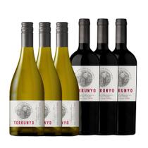 Kit 3 Vinhos Chilenos Terrunyo Cabernet Sauvignon & 3 Terrunyo Sauvignon Blanc