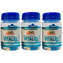 Kit 3 Vitalid Homem Polivitamínico De A - Z 300 Cápsulas - Rei Terra