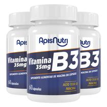 Kit 3 Vitamina B3 Apisnutri 60 Cápsulas