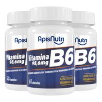 Kit 3 Vitamina B6 Apisnutri 60 cápsulas Kit 3 Vitamina B6 Apisnutri 60 cápsulas